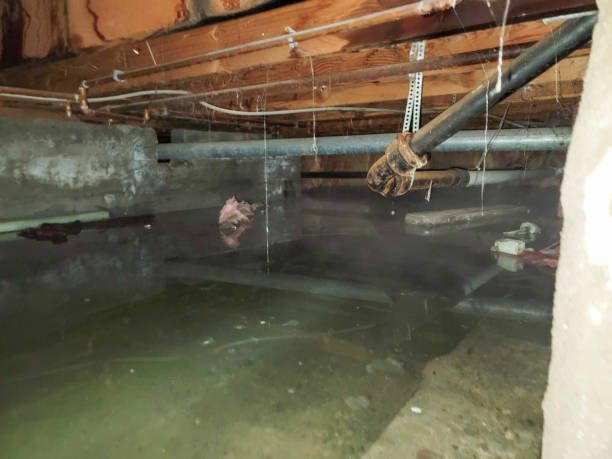 Best Professional water damage repair  in Northville, NY