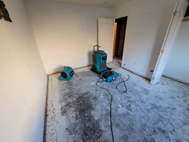 Best Mold removal after water damage  in Northville, NY