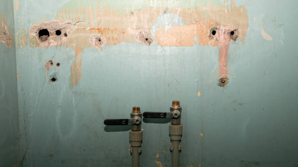 Best Carpet water damage restoration  in Northville, NY